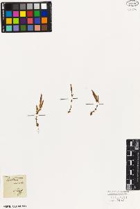 SW_BNB_s3010-05958_IMG-0000000001