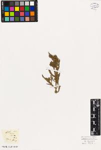 SW_BNB_s3010-05962_IMG-0000000001
