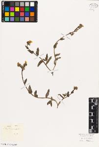SW_BNB_s3010-05965_IMG-0000000001
