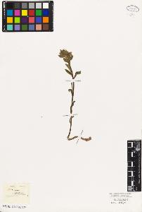 SW_BNB_s3010-05967_IMG-0000000001