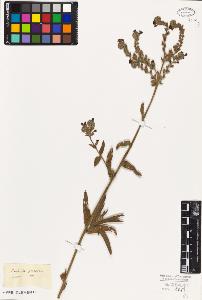 SW_BNB_s3010-05988_IMG-0000000001