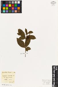 SW_BNB_s3010-05993_IMG-0000000001
