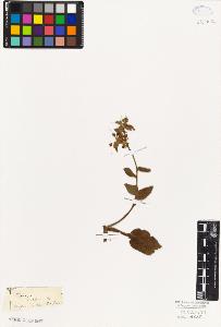 SW_BNB_s3010-06000_IMG-0000000001