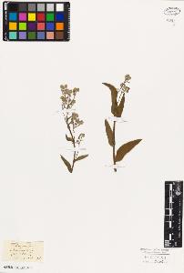 SW_BNB_s3010-06012_IMG-0000000001