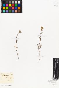 SW_BNB_s3010-06021_IMG-0000000001