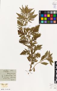 SW_BNB_s3010-06024_IMG-0000000001