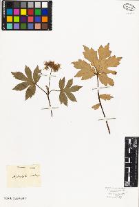 SW_BNB_s3010-06030_IMG-0000000001