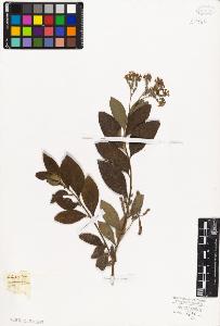 SW_BNB_s3010-06031_IMG-0000000001