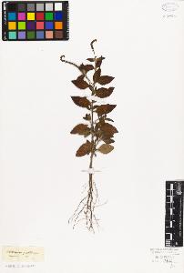 SW_BNB_s3010-06033_IMG-0000000001