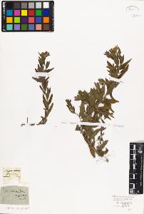 SW_BNB_s3010-06037_IMG-0000000001