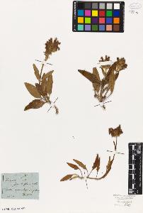 SW_BNB_s3010-06039_IMG-0000000001