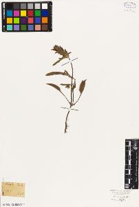 SW_BNB_s3010-06040_IMG-0000000001