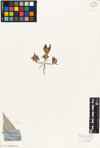 SW_BNB_s3010-06041_IMG-0000000001