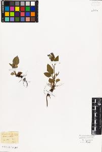 SW_BNB_s3010-06042_IMG-0000000001