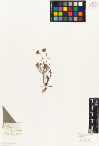 SW_BNB_s3010-06046_IMG-0000000001