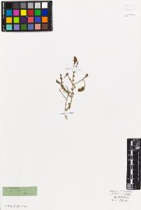 SW_BNB_s3010-06049_IMG-0000000001