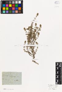 SW_BNB_s3010-06054_IMG-0000000001