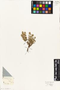 SW_BNB_s3010-06056_IMG-0000000001