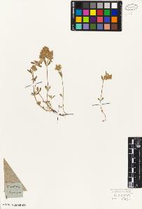 SW_BNB_s3010-06057_IMG-0000000001