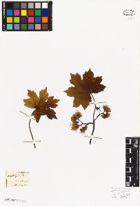 SW_BNB_s3010-06059_IMG-0000000001