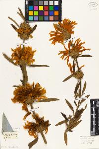 SW_BNB_s3010-06061_IMG-0000000001