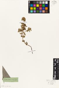 SW_BNB_s3010-06063_IMG-0000000001