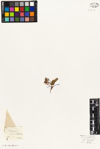 SW_BNB_s3010-06064_IMG-0000000001