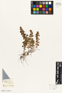 SW_BNB_s3010-06065_IMG-0000000001