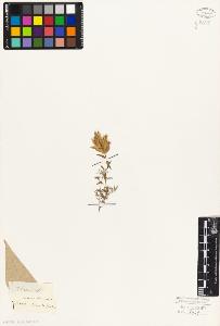 SW_BNB_s3010-06067_IMG-0000000001