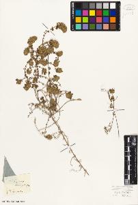 SW_BNB_s3010-06069_IMG-0000000001