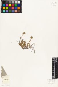 SW_BNB_s3010-06071_IMG-0000000001