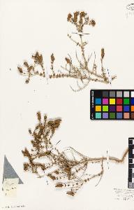SW_BNB_s3010-06073_IMG-0000000001