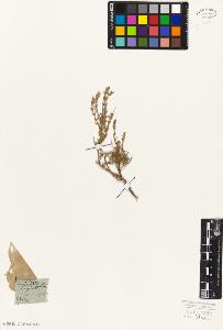 SW_BNB_s3010-06074_IMG-0000000001