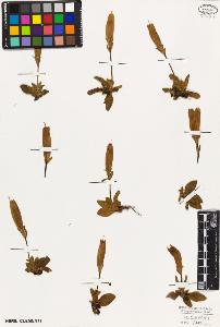 SW_BNB_s3010-06075_IMG-0000000001
