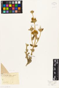 SW_BNB_s3010-06076_IMG-0000000001