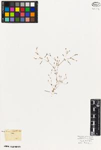 SW_BNB_s3010-06077_IMG-0000000001