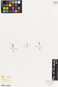SW_BNB_s3010-06080_IMG-0000000001