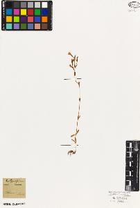 SW_BNB_s3010-06081_IMG-0000000001