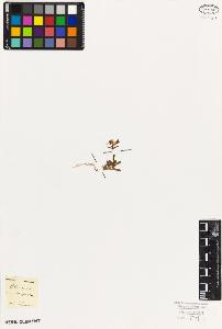 SW_BNB_s3010-06087_IMG-0000000001