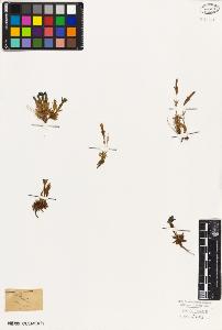 SW_BNB_s3010-06089_IMG-0000000001