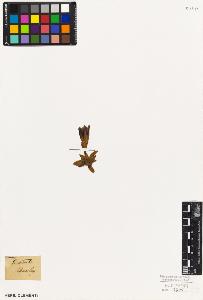 SW_BNB_s3010-06091_IMG-0000000001