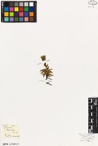 SW_BNB_s3010-06092_IMG-0000000001