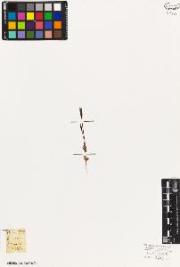 SW_BNB_s3010-06093_IMG-0000000001