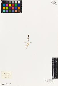 SW_BNB_s3010-06095_IMG-0000000001