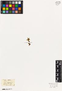 SW_BNB_s3010-06101_IMG-0000000001