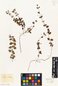 SW_BNB_s3010-06102_IMG-0000000001