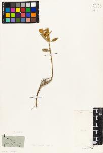 SW_BNB_s3010-06105_IMG-0000000001