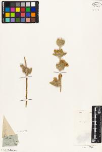 SW_BNB_s3010-06106_IMG-0000000001
