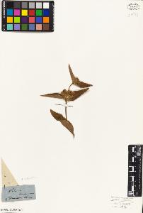 SW_BNB_s3010-06108_IMG-0000000001