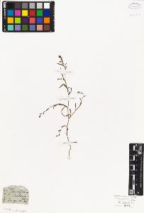 SW_BNB_s3010-06113_IMG-0000000001